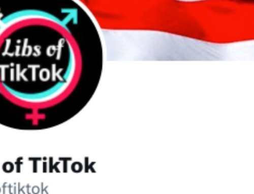 Confronted on Explicit Pornographic Books Offered to Kids, Colorado School District Blocks Libs of TikTok Domain | The Gateway Pundit