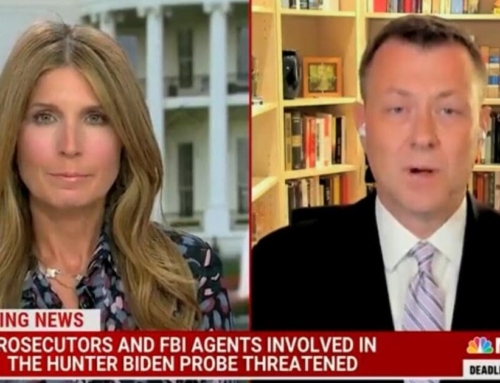 Fired FBI Agent Peter Strzok: We Need a Special Unit to Protect FBI Agents From Americans (VIDEO) | The Gateway Pundit