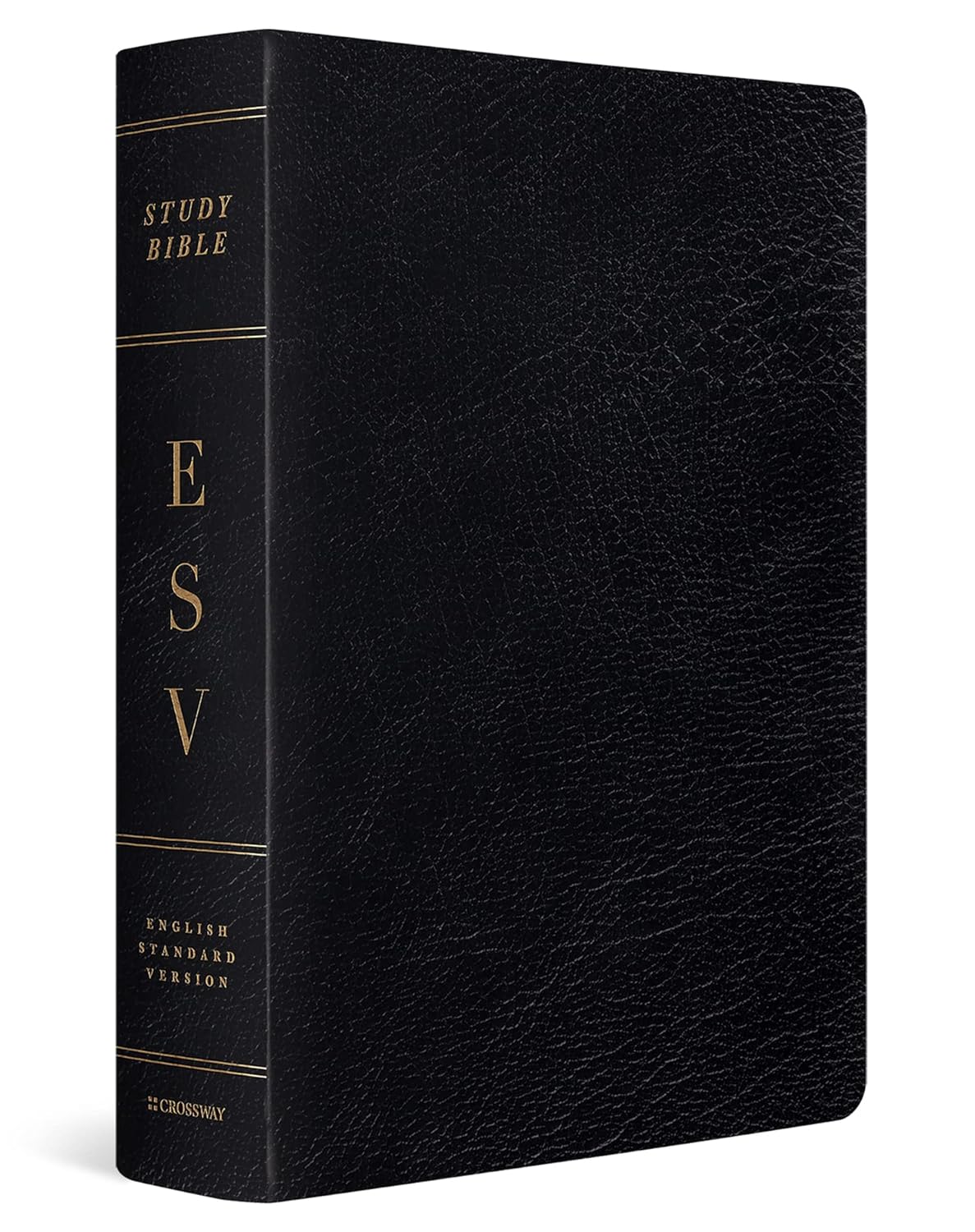 ESV Study Bible, Cover Look May Vary Leather Bound – Large Print