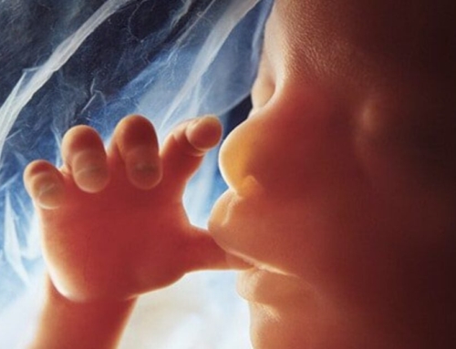 Poll: Supermajority of American Voters Oppose Abortion Past 12 Weeks | The Gateway Pundit