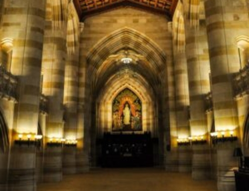 Our Colleges Are Hotbeds of Moral Cowardice