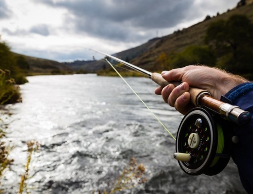 Oregon Could Vote to Ban Hunting and Fishing – Proposed Law Would Classify Both as Cruelty to Animals | The Gateway Pundit Oregon Could Vote to Ban Hunting and Fishing – Proposed Law Would Classify Both as Cruelty to Animals | The Gateway Pundit