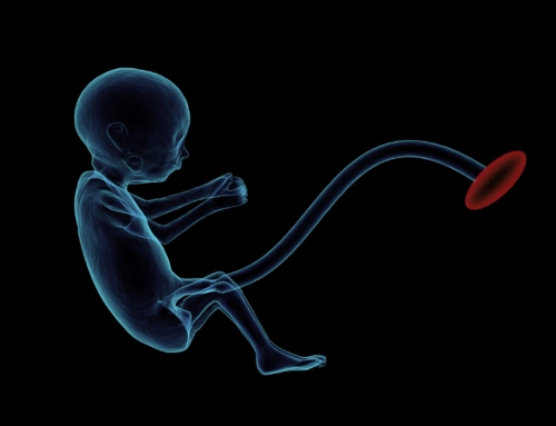 PRO-LIFE VICTORY: Puerto Rico Governor Signs Landmark Law Officially Recognizing Unborn Babies as Human Beings | The Gateway Pundit PRO-LIFE VICTORY: Puerto Rico Governor Signs Landmark Law Officially Recognizing Unborn Babies as Human Beings | The Gateway Pundit