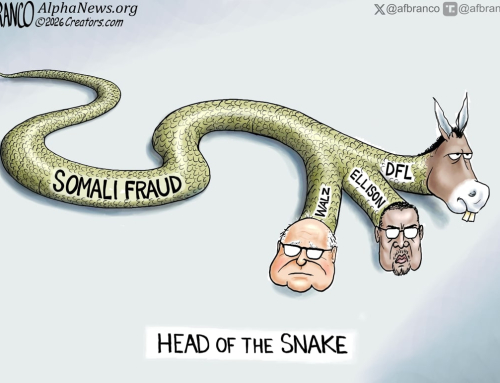 Alpha News cartoon: Creepy crawler Alpha News cartoon: Creepy crawler