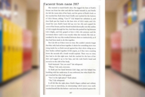 Blaine High School English course book list full of inappropriate titles, parent says