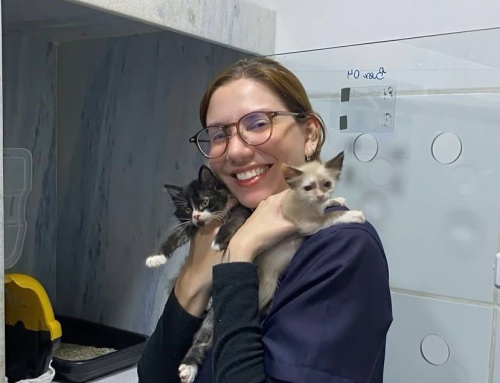 Brazilian court rules in favour of student who said transgender women ‘obviously born male’