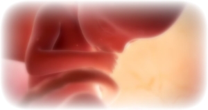 DARK DAY: British House of Lords Approves UP TO BIRTH Abortions To Become Law, as the Culture of Death Takes Over the UK | The Gateway Pundit