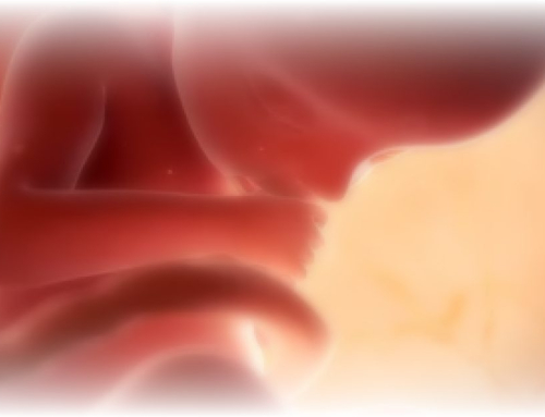 DARK DAY: British House of Lords Approves UP TO BIRTH Abortions To Become Law, as the Culture of Death Takes Over the UK | The Gateway Pundit