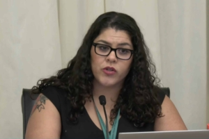 DFL legislative agenda full of ICE-related bills, lawmaker targets immigration agreements