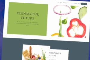 Five more defendants plead guilty in Feeding Our Future scandal 