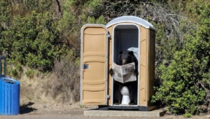 Newsom Allocates 0 Million For Black Bear Porta-Potties