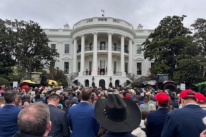 President Trump rips Minnesota leaders: ‘We’ll take it back from Somalia’ President Trump rips Minnesota leaders: ‘We’ll take it back from Somalia’