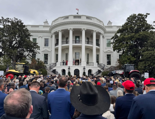 President Trump rips Minnesota leaders: ‘We’ll take it back from Somalia’ President Trump rips Minnesota leaders: ‘We’ll take it back from Somalia’