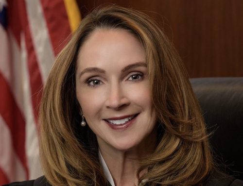 Minnesota Judge Hands Somali Fraudster Just 6 Months After 0K Theft in Child Food Scam | The Gateway Pundit Minnesota Judge Hands Somali Fraudster Just 6 Months After 0K Theft in Child Food Scam | The Gateway Pundit