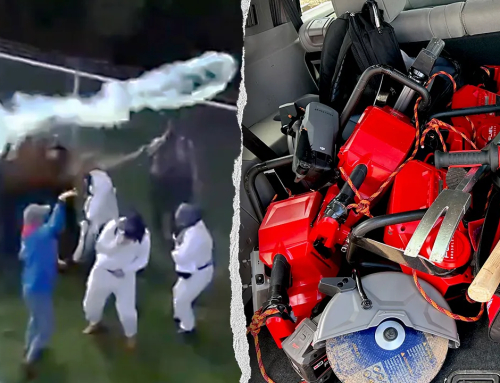 Officers use tear gas at Ridglan Farms as activists storm beagle facility