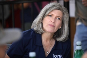 Targeting COVID-19 scams, welfare fraud: Ernst’s package aims to save taxpayers 0B