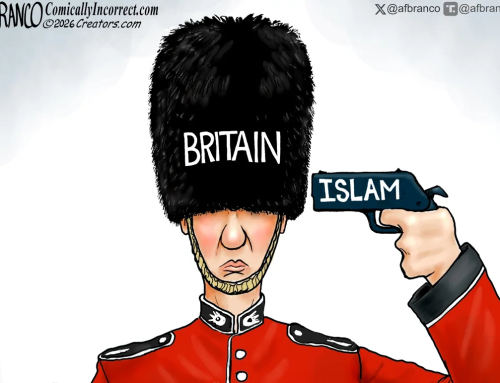 It’s Bloody Suicidal | CDN