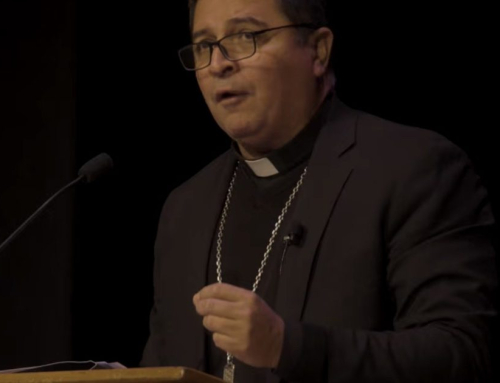 Pope Leo Appoints Former Illegal Alien and Rabid Progressive as Bishop Deep Red West Virginia | The Gateway Pundit