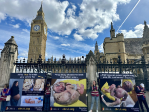 ‘Sad moment’ as abortion up to birth becomes the law of the land