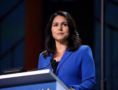 The Raid on Tulsi Gabbard That Wasn’t—Or Was It? A Tense Chapter in the Battle for America’s Secrets The Raid on Tulsi Gabbard That Wasn’t—Or Was It? A Tense Chapter in the Battle for America’s Secrets