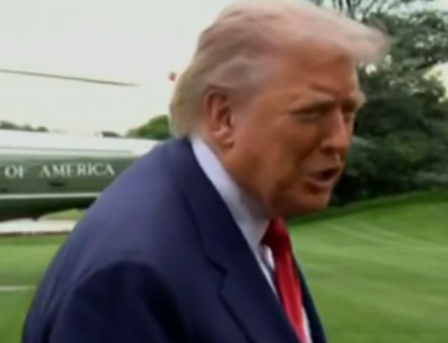 WATCH: Trump Responds to Journalist Asking if He Will Rejoin WHO Over Hantavirus | The Gateway Pundit